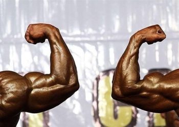 پرورش اندام عاقل باشد