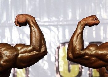 یکی از این 15 نفر؛ شمارش معکوس برای معرفی رئیس بدنسازی تهران