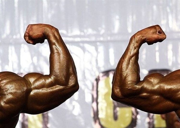 یکی از این 15 نفر؛ شمارش معکوس برای معرفی رئیس بدنسازی تهران